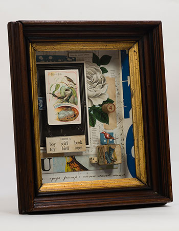 9109 The Collage Box: A Cabinet Of Curiosity 